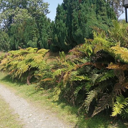 Cabanas Trapen Puerto Montt Exteriör bild
