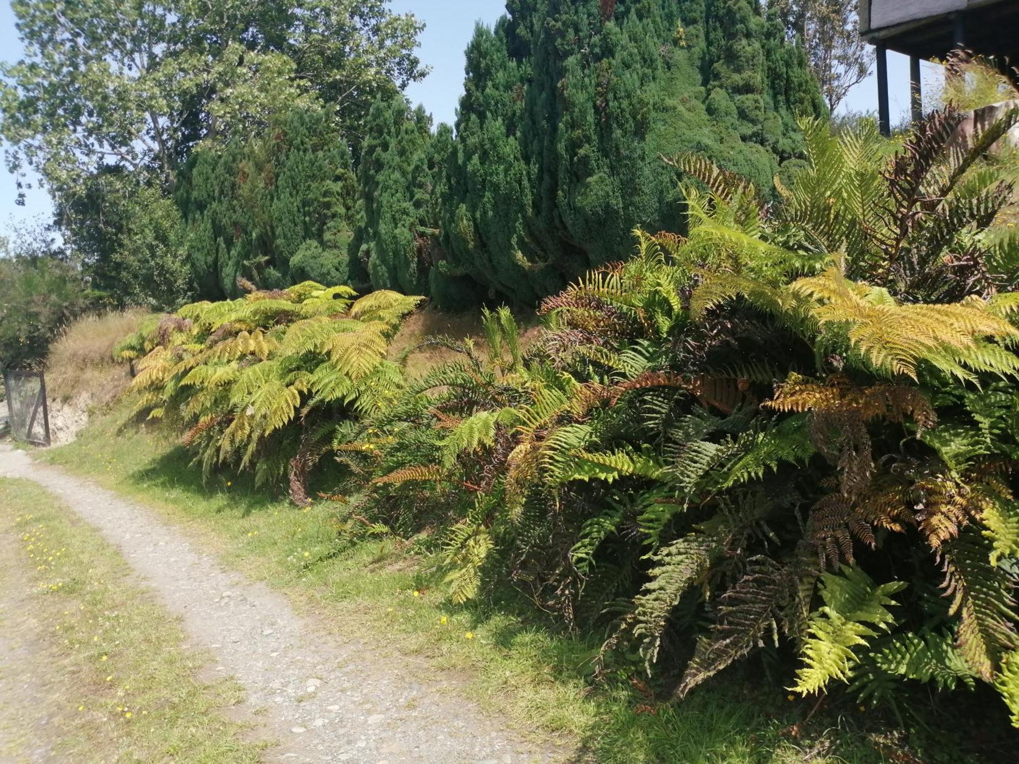 Cabanas Trapen Puerto Montt Exteriör bild
